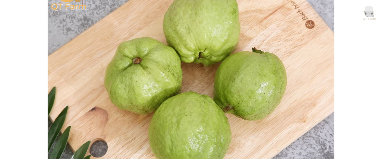  Lợi ích của ổi