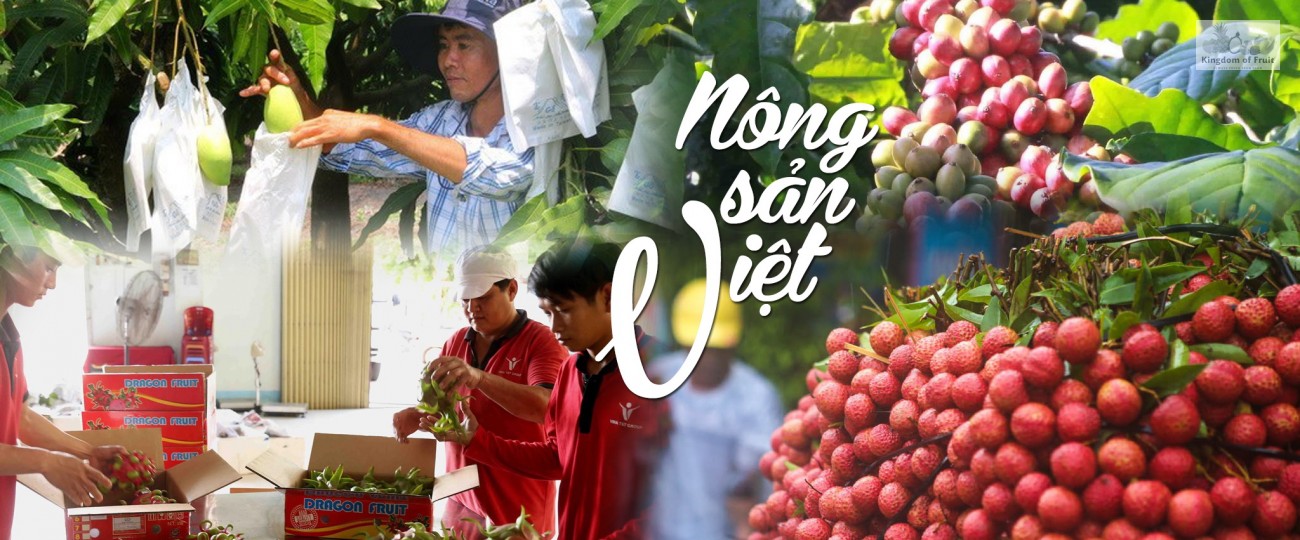 Khó khăn bủa vây doanh nghiệp xuất khẩu nông sản