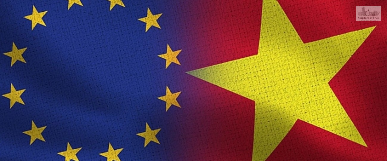 CƠ HỘI VÀ THÁCH THỨC Ở THỊ TRƯỜNG EU