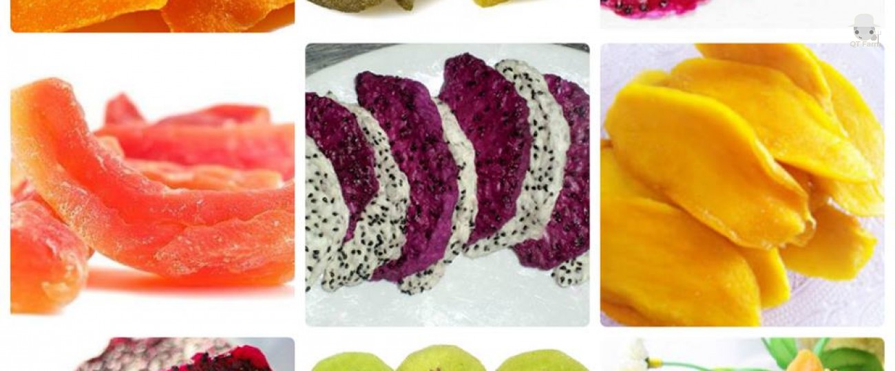 LỢI ÍCH CỦA TRÁI CÂY SẤY