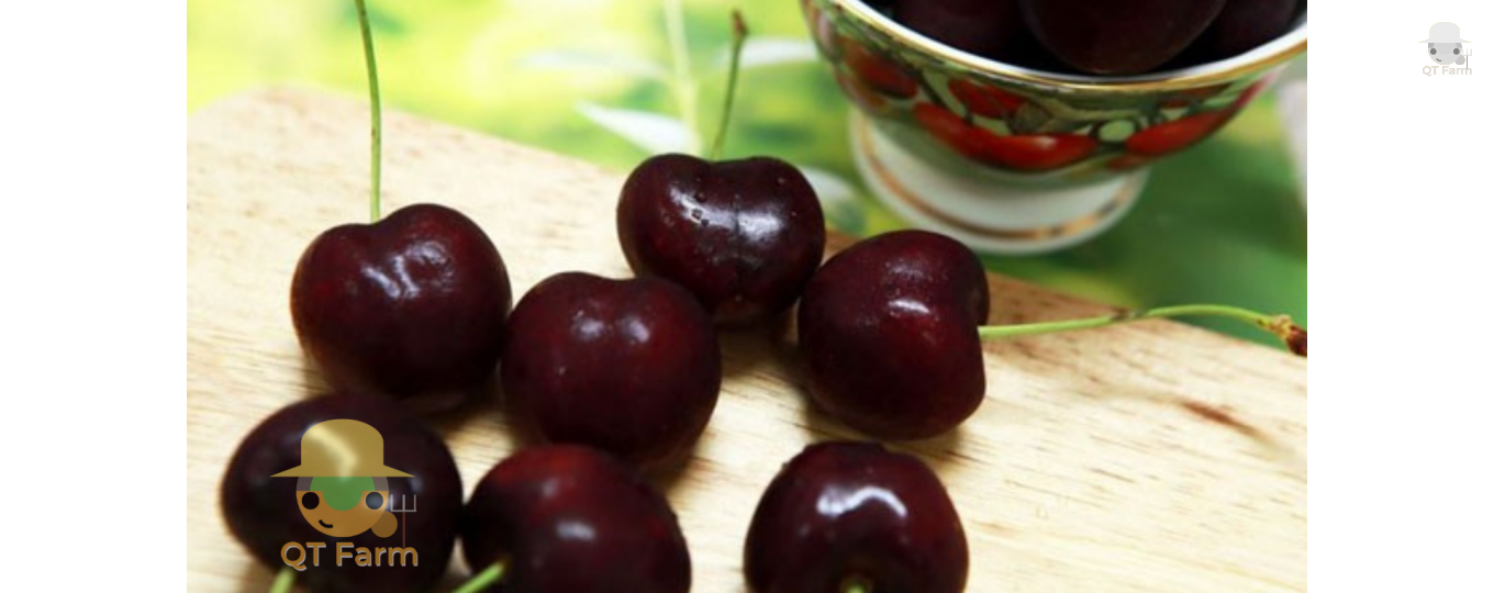 Lợi ích của việc ăn cherry