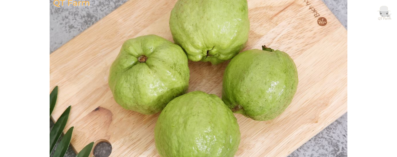  Lợi ích của ổi