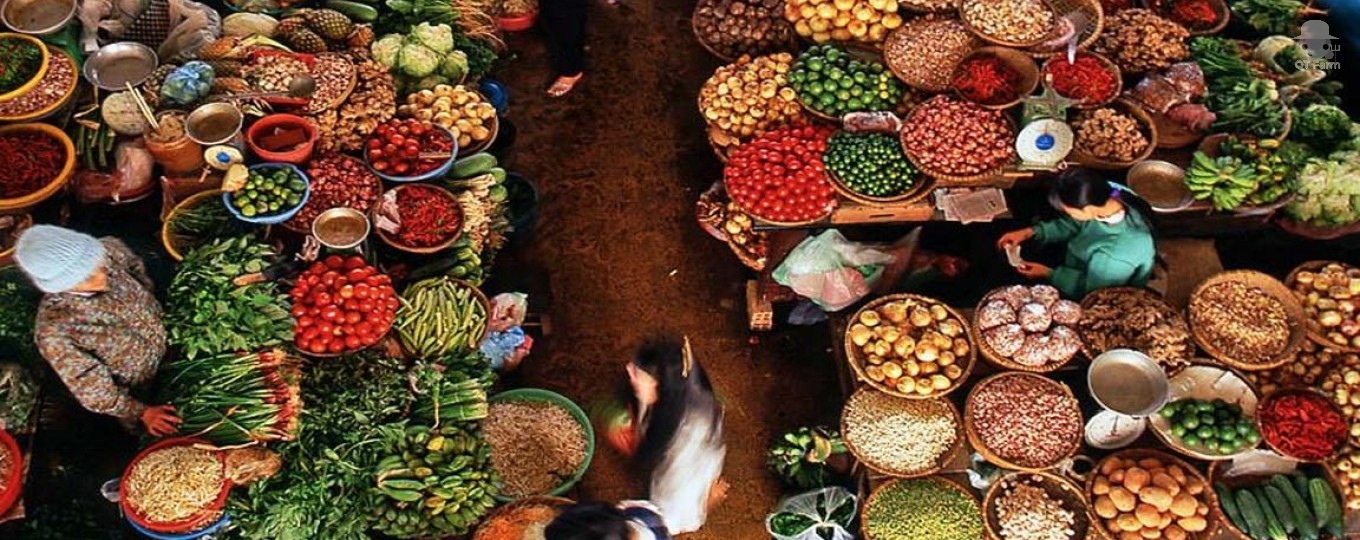 Giúp nông dân tiêu thụ nông sản