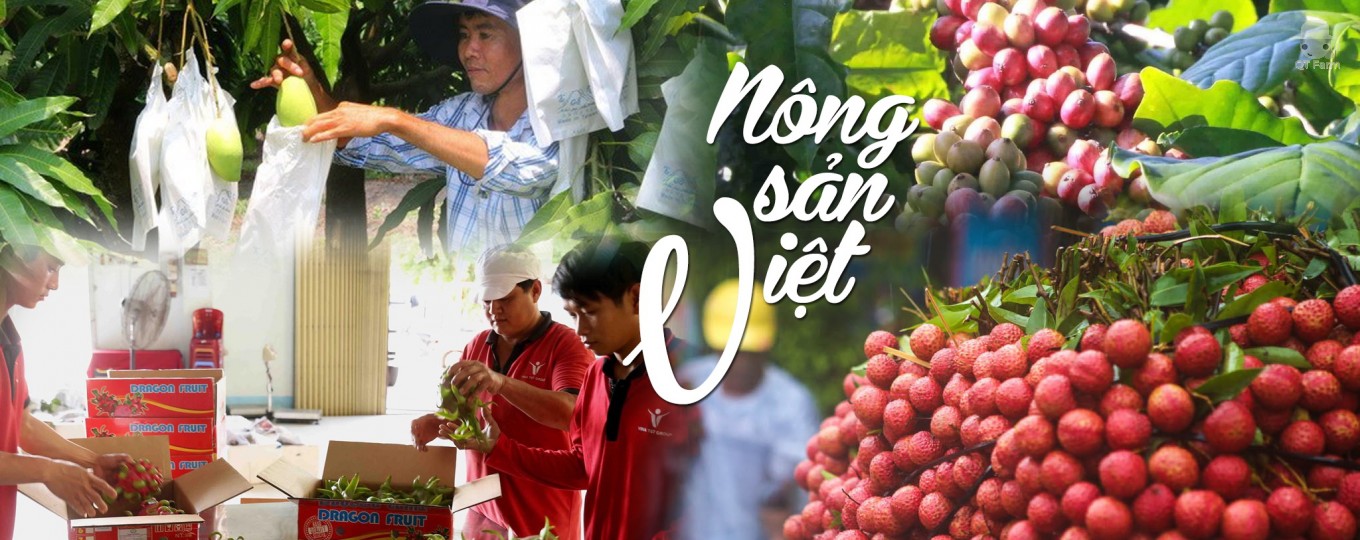 Khó khăn bủa vây doanh nghiệp xuất khẩu nông sản