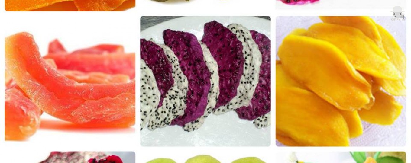 LỢI ÍCH CỦA TRÁI CÂY SẤY