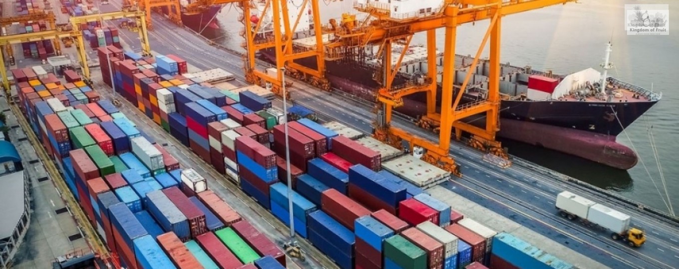 ĐỘNG THÁI THÚC ĐÂY XUẤT KHẨU