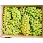 Nho xanh Phan Rang/kg