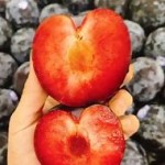 Mận đen ruột đỏ Plumcots Mỹ-454g
