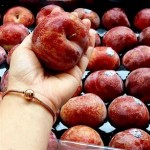 Mận đen ruột đỏ Plumcots Mỹ-454g