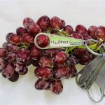 Nho đỏ Scarlet Royal Mỹ - 1kg