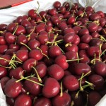 Cherry Canada size 9.5 - 250g