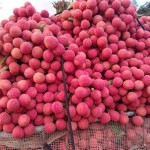 Vải thiều- Bắc Giang- 1kg