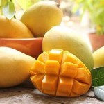 Xoài cát Hòa Lộc