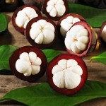 Măng cụt Bảo Lộc 