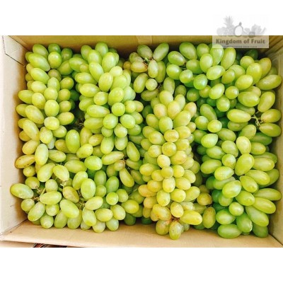 Nho xanh Phan Rang/kg