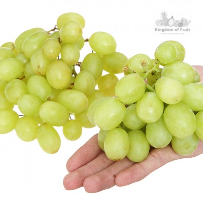 Nho xanh nhập khẩu