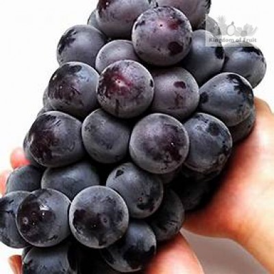 Nho rượu Kyoho Premium Hàn Quốc - 450g