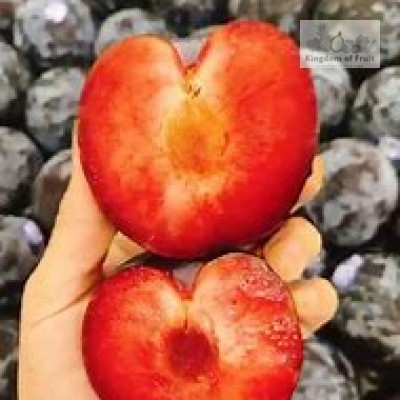 Mận đen ruột đỏ Plumcots Mỹ-454g