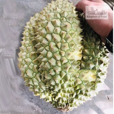 Sầu riêng Ri6  - 1Kg