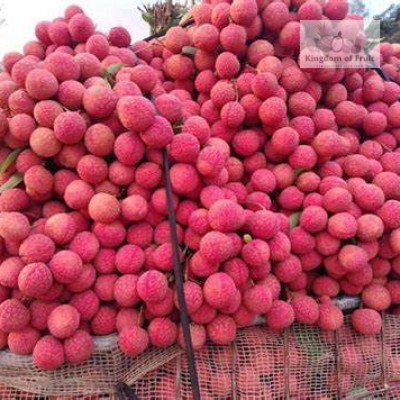 Vải thiều- Bắc Giang- 1kg