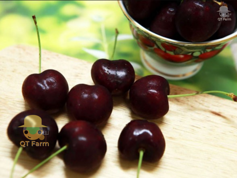 Lợi ích của việc ăn cherry 