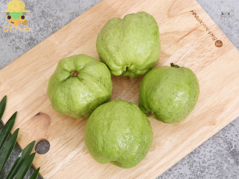  Lợi ích của ổi