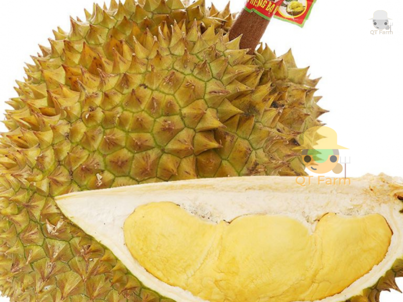 LỢI ÍCH CỦA SẦU RIÊNG