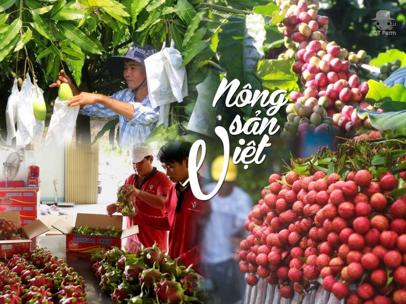 Khó khăn bủa vây doanh nghiệp xuất khẩu nông sản