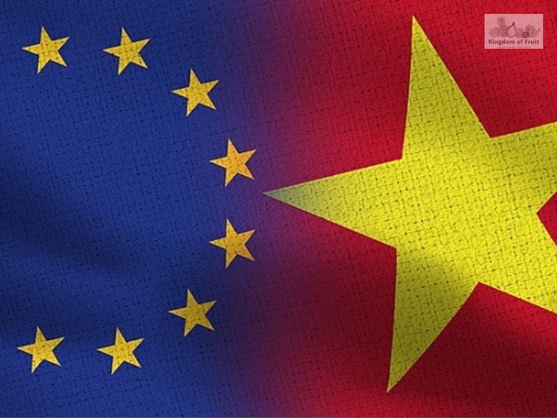CƠ HỘI VÀ THÁCH THỨC Ở THỊ TRƯỜNG EU