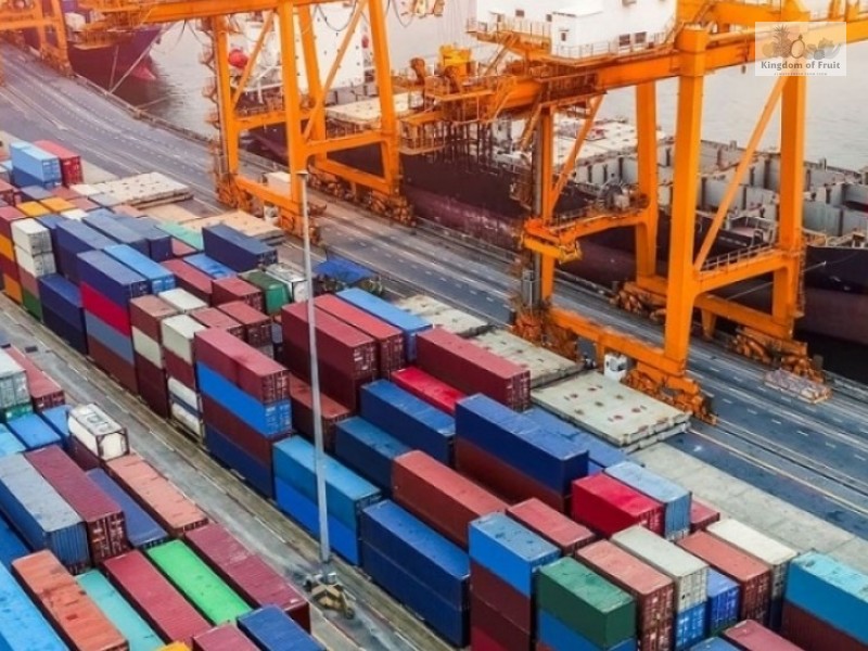 ĐỘNG THÁI THÚC ĐÂY XUẤT KHẨU