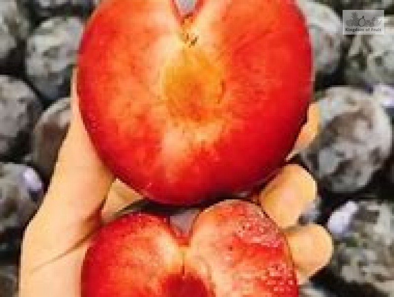 Mận đen ruột đỏ Plumcots Mỹ-454g