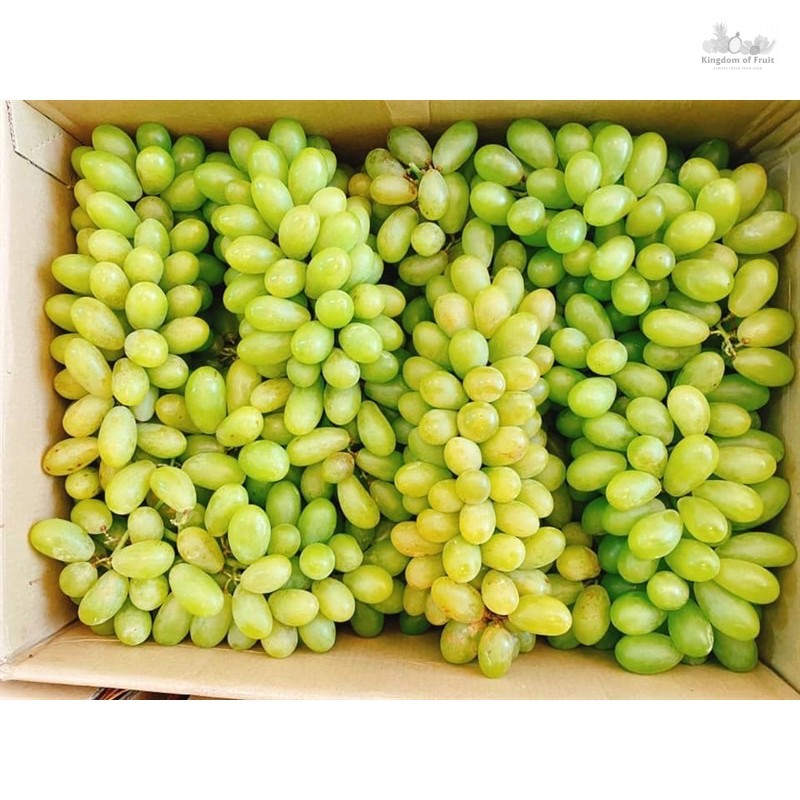 Nho xanh Phan Rang/kg