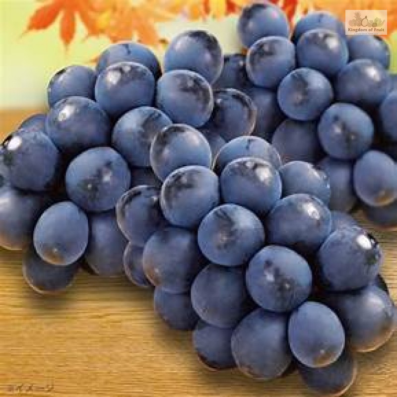 Nho rượu Kyoho Premium Hàn Quốc - 450g