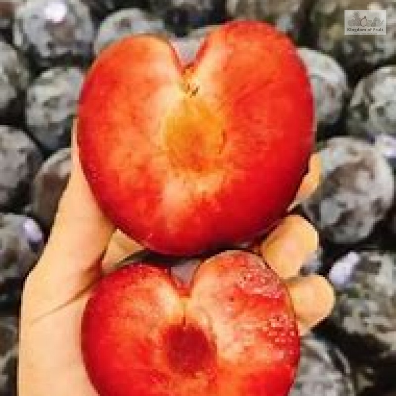Mận đen ruột đỏ Plumcots Mỹ-454g