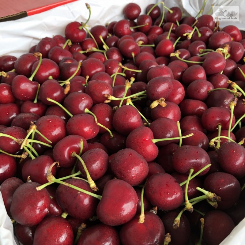 Cherry Canada size 9.5 - 250g