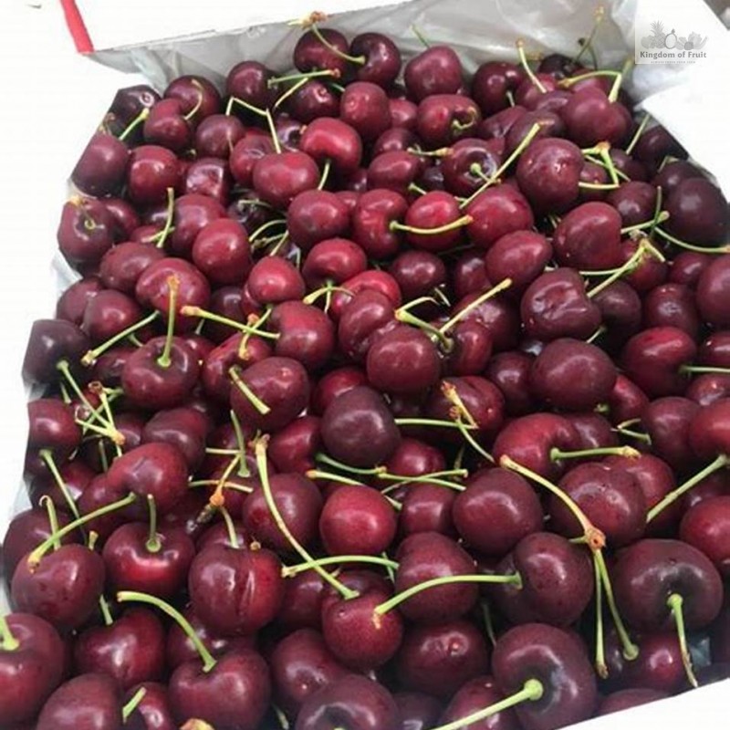 Cherry Canada size 9.5 - 250g