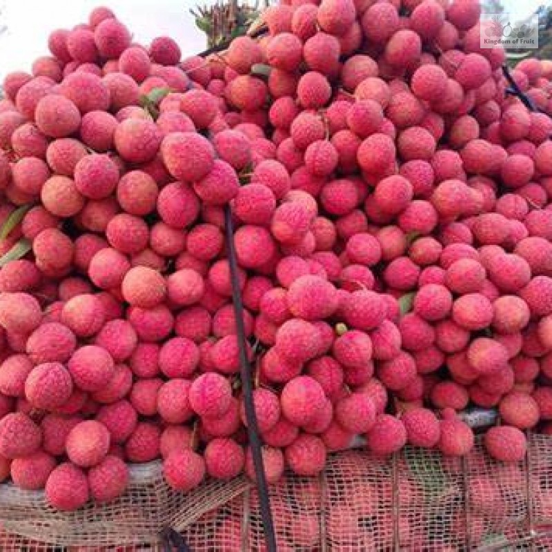 Vải thiều- Bắc Giang- 1kg