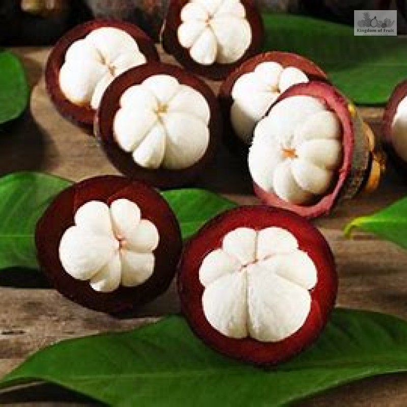 Măng cụt Bảo Lộc 